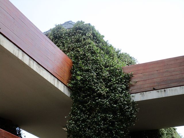 FV Stella Sud